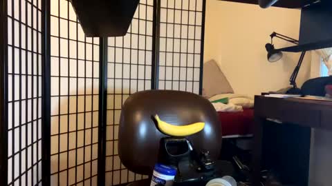 jondoe3657 online show from January 23, 2025, 3:58 am