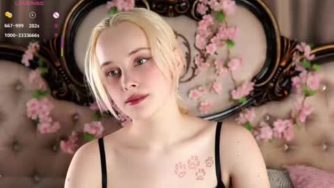 Alice online show from April 17, 2026, 11:13 am