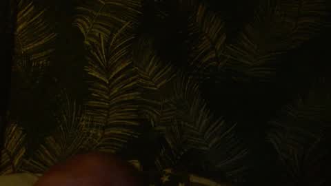 John online show from January 22, 2025, 7:57 am