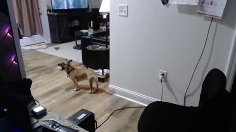 Josef online show from January 15, 2026, 2:05 am