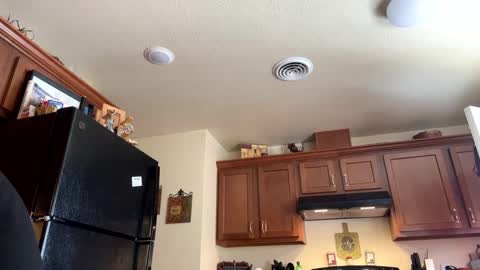 sissy josphine online show from January 17, 2025, 8:22 pm