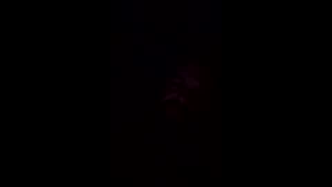 Snapshot of josephwalsh334 chatting on April 1, 2026, 7:31 am josephwalsh334 online show from April 1, 2026, 7:31 am