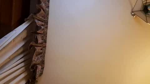 juanka85564456 online show from February 28, 2025, 11:56 pm