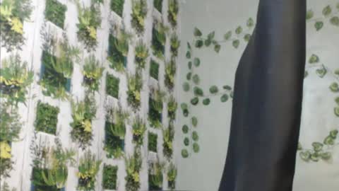 Snapshot of juicy_gold22 chatting on December 9, 2024, 11:58 am Mariagold online show from December 9, 2024, 11:58 am