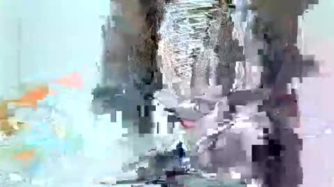 Snapshot of juicyebonitaa chatting on November 4, 2025, 6:45 am juicyebonitaa online show from November 4, 2025, 6:45 am