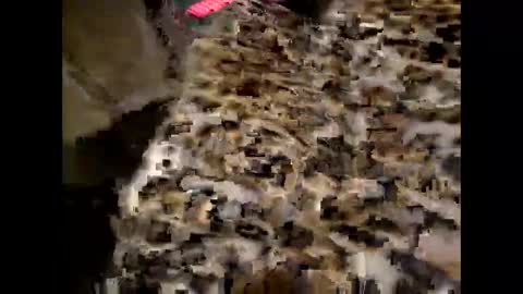 juicyslutx online show from November 30, 2025, 7:07 pm