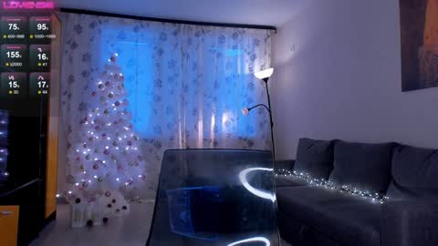 Snapshot of juliacontrol chatting on December 29, 2024, 11:29 am Molly online show from December 29, 2024, 11:29 am