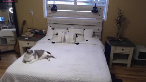 Texas Mamasita online show from January 3, 2025, 3:33 pm