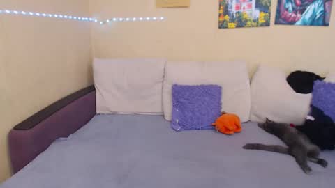 Jul online show from September 12, 2025, 2:06 pm