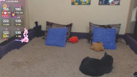 Jul online show from February 21, 2026, 2:40 pm