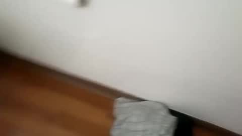 Snapshot of junior69king chatting on January 1, 2025, 6:15 am manolito online show from January 1, 2025, 6:15 am