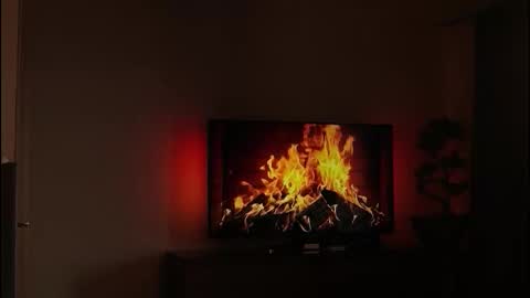 just_dakota_ online show from February 19, 2026, 8:54 am