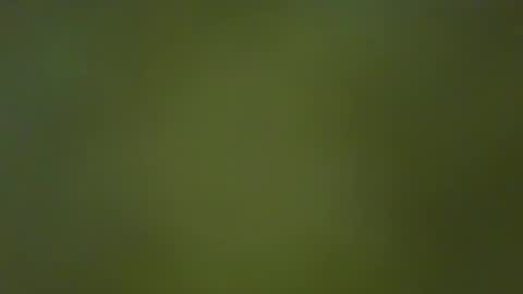 Snapshot of justbuff4 chatting on January 23, 2025, 5:10 pm McKeefer online show from January 23, 2025, 5:10 pm