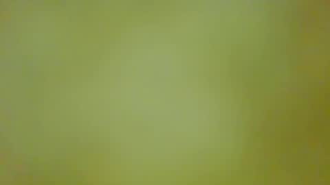 Snapshot of justbuff4 chatting on September 13, 2025, 5:46 pm McKeefer online show from September 13, 2025, 5:46 pm