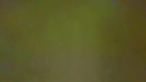 Snapshot of justbuff4 chatting on February 21, 2026, 4:52 pm McKeefer online show from February 21, 2026, 4:52 pm