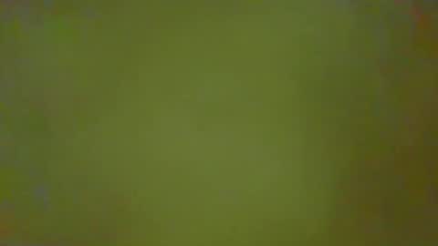 Snapshot of justbuff4 chatting on February 25, 2026, 2:37 pm McKeefer online show from February 25, 2026, 2:37 pm