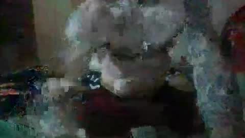 Snapshot of justjay222222222 chatting on April 7, 2026, 5:41 am justjay222222222 online show from April 7, 2026, 5:41 am