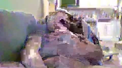 justright1 online show from February 4, 2025, 7:00 pm