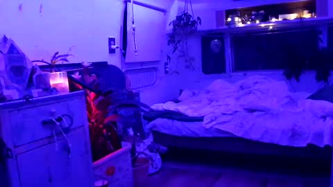 jwolf11851725 online show from September 21, 2025, 8:05 am