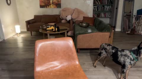 Kailee Smile online show from March 6, 2026, 4:53 am