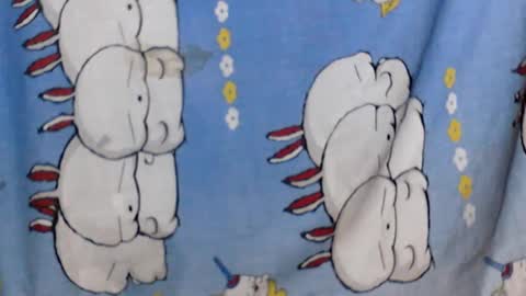 kaillah online show from February 25, 2025, 7:09 am