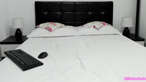 Snapshot of karina_sunshine chatting on December 13, 2024, 1:22 pm Karina online show from December 13, 2024, 1:22 pm