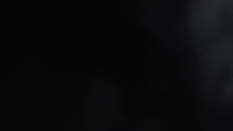 Karin online show from January 27, 2025, 11:32 am