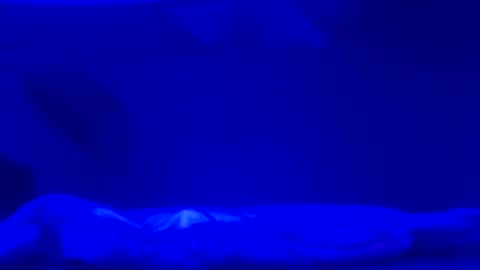 Karla Gonzaless online show from November 2, 2025, 6:49 am