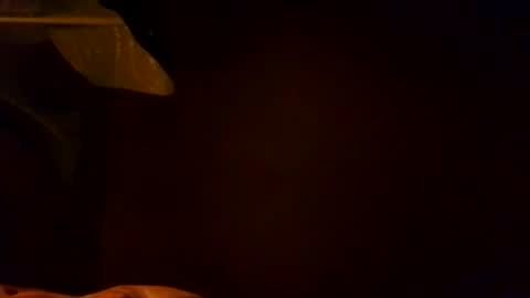 Karla Gonzaless online show from November 4, 2025, 6:56 am