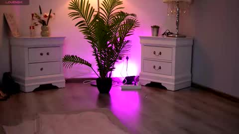 Snapshot of kassidyvibe chatting on February 11, 2026, 11:04 am Kassidy online show from February 11, 2026, 11:04 am