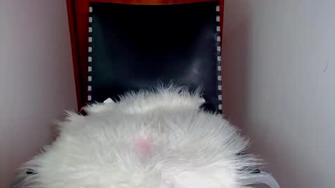 katalinaferreirax online show from December 17, 2024, 8:54 pm