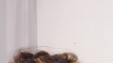 Help me with rate thanks  online show from December 3, 2024, 5:09 am