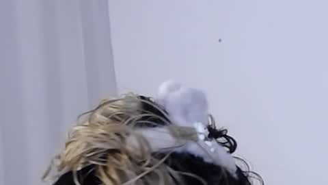 Help me with rate thanks  online show from December 11, 2024, 3:35 am