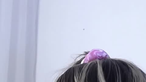 Help me with rate thanks  online show from January 3, 2025, 3:16 am