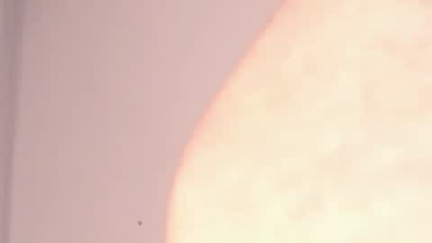 Help me with rate thanks  online show from January 7, 2025, 3:03 am