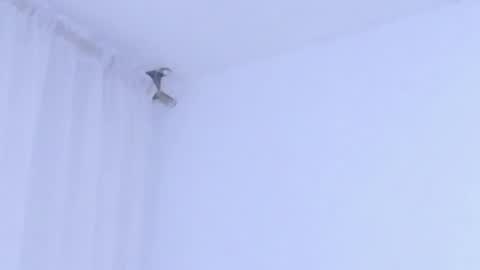 Help me with rate thanks  online show from January 8, 2026, 2:58 am