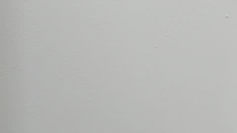 katy blonde girl and paola big boobs online show from October 27, 2025, 7:18 pm