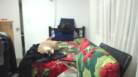  Khawit  online show from January 10, 2026, 12:01 am