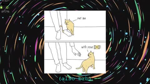 Miss Kazia online show from December 4, 2024, 10:35 am