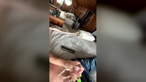 Snapshot of kckc40000 chatting on January 14, 2026, 7:19 pm kckc40000 online show from January 14, 2026, 7:19 pm