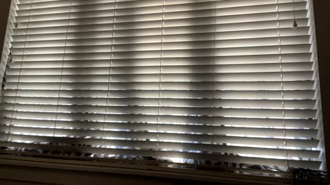 keepquietj online show from February 7, 2025, 9:48 pm