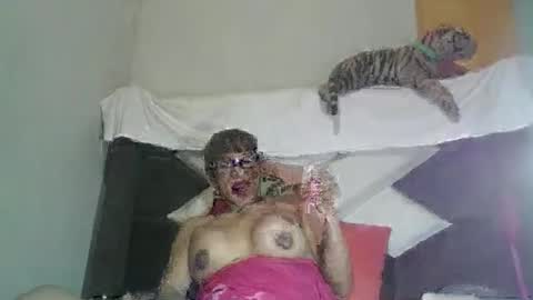 kelly_alisset online show from March 12, 2026, 7:25 am