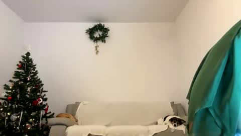 Snapshot of kennasoft chatting on December 23, 2024, 1:03 pm Kenna next time online - 2nd of Dec online show from December 23, 2024, 1:03 pm