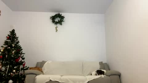 Snapshot of kennasoft chatting on December 23, 2024, 4:06 pm Kenna next time online - 2nd of Dec online show from December 23, 2024, 4:06 pm