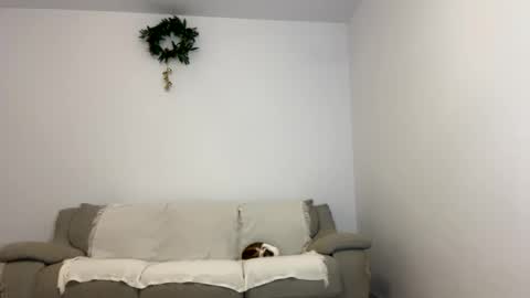 Snapshot of kennasoft chatting on January 15, 2025, 6:08 pm Kenna next time online - 2nd of Dec online show from January 15, 2025, 6:08 pm