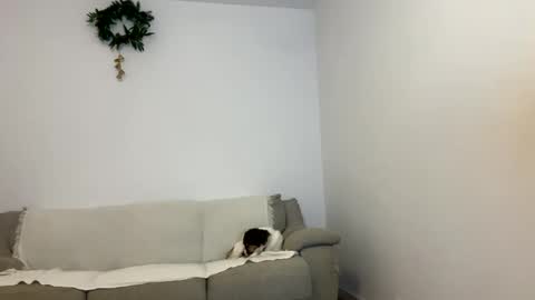 Snapshot of kennasoft chatting on January 23, 2025, 3:43 pm Kenna next time online - 2nd of Dec online show from January 23, 2025, 3:43 pm