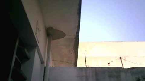 keny06 online show from February 4, 2025, 7:55 pm