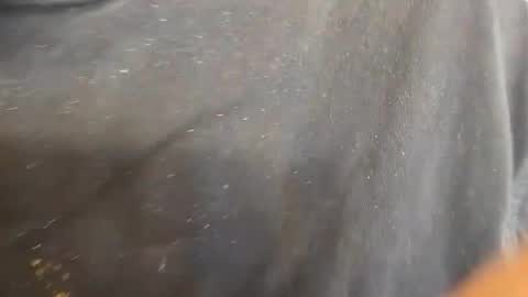 kevinevans448 online show from September 9, 2025, 8:30 pm