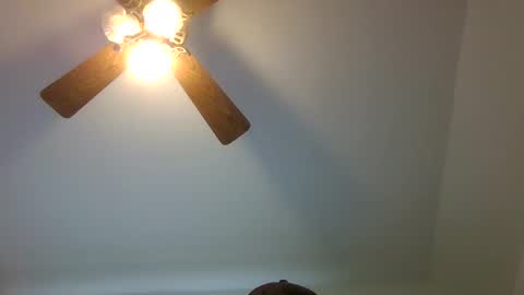 kevinj6969 online show from November 19, 2025, 4:18 pm