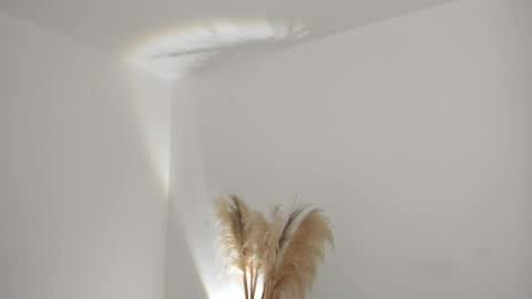 Kim Murphy online show from April 1, 2026, 11:11 am